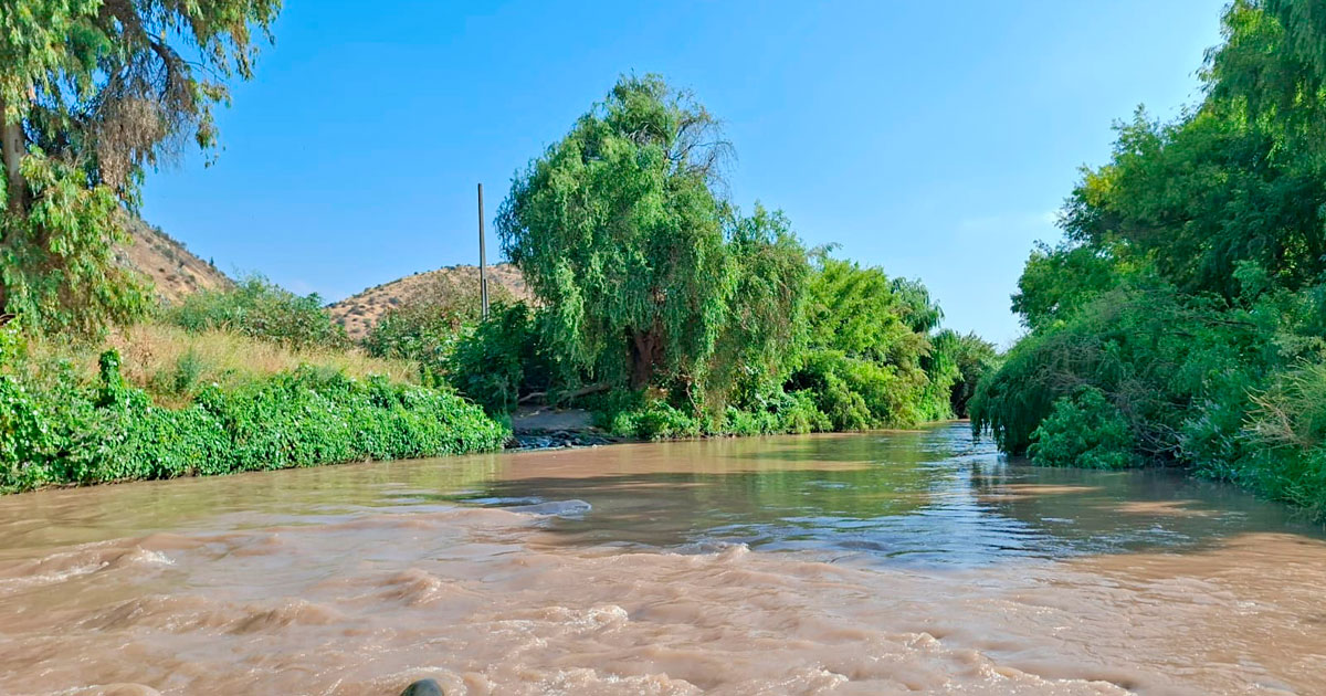Vista del Río Mapocho, recientemente declarado Humedal Urbano en la Región Metropolitana