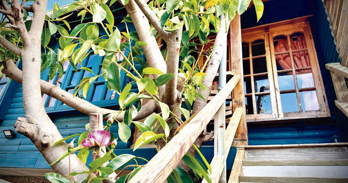 Cabaña Marquesana Bucalemu