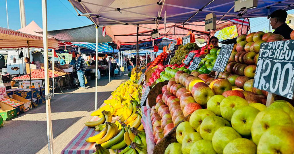 Feria hoy Maipú
