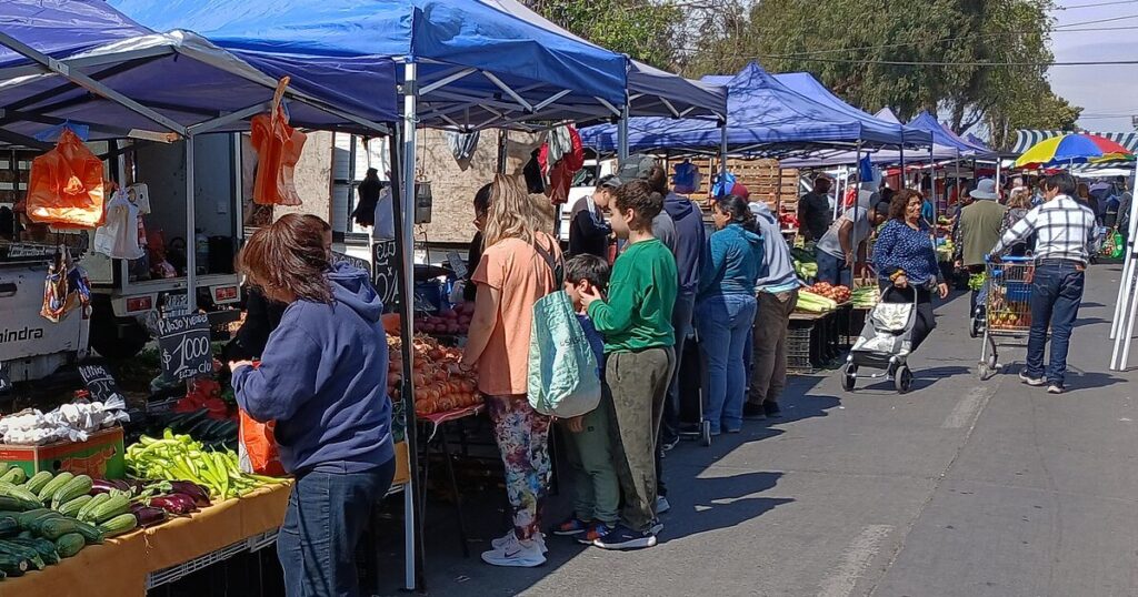 Feria libre Maipú
